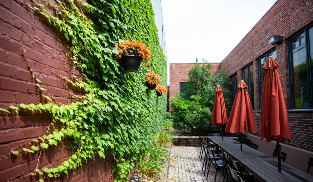 Outdoor seating are at office